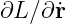 ∂L ∕∂˙r  