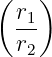 (    )
  r1
  r2
