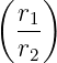 (    )
  r1
  r2