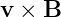 v × B
