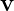 v  