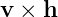 v × h

