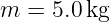 m  = 5.0 kg
