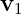 v1   