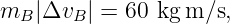 mB |ΔvB | = 60 kg m ∕s,
