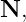 N,
