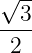 √3--
----
 2