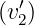   ′
(v2)