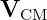 VCM
