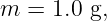 m  = 1.0 g,
