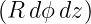 (R dϕ dz)