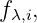 fλ,i,
