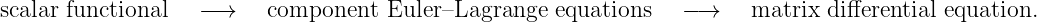 scalar functional   −→    component   Euler–Lagrange  equations   − →    matrix differential equation.
