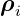 ρi
