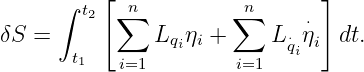       ∫ t2[∑n         ∑n       ]
δS =           Lq ηi +    L ⋅⋅ηi  dt.
       t1   i=1   i     i=1   qi
