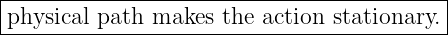 |------------------------------------------|
-physical path-makes-the-action-stationary.-|
