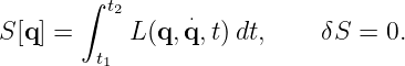        ∫ t
          2     ⋅
S [q] =  t  L (q,q,t)dt,     δS = 0.
         1
