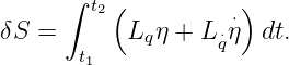       ∫ t2 (         ⋅)
δS =       Lqη + L ⋅qη  dt.
       t1
