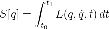        ∫ t1
S[q] =     L(q,q˙,t)dt
        t0
