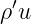 ρ′u
