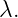 λ.
