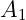 A1
