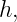 h,
