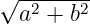 √a2--+-b2