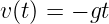 v (t) = − gt
