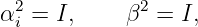 α2 = I,     β2 = I,
 i

