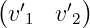 (       )
 v′1 v ′2