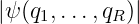 |ψ (q,...,q  )|
    1     R