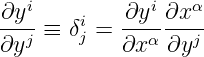 ∂yi         ∂yi ∂xα
----≡ δij =  --------
∂yj         ∂xα ∂yj
